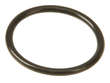 Genuine Automatic Transmission Filter O-Ring 
