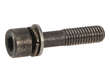 Genuine Engine Timing Chain Guide Bolt 