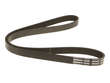 ACDelco Accessory Drive Belt  Primary 