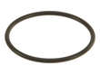 Mahle Engine Coolant Thermostat Seal 