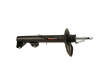 Autopart International Suspension Strut Assembly  Front Right 