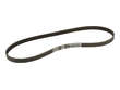Dayco Accessory Drive Belt  Primary 