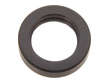 OPT Fuel Injector Seal  Lower 