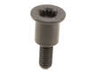 Genuine Engine Timing Chain Guide Bolt 