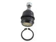 Autopart International Suspension Ball Joint  Front Lower 