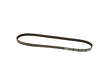 ACDelco Accessory Drive Belt  Power Steering 