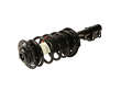 Autopart International Suspension Strut and Coil Spring Assembly  Front Left 